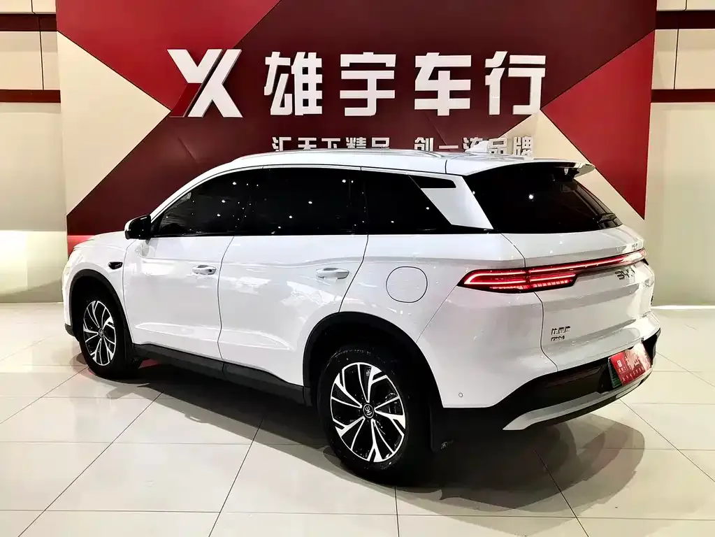 BYD Pro New Energy — фото 4