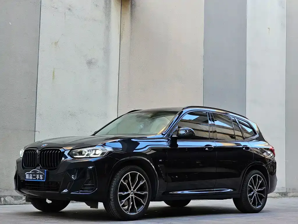BMW X3 — фото 1