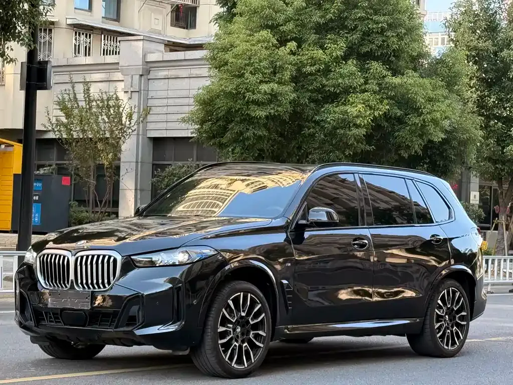 BMW X5 — фото 1