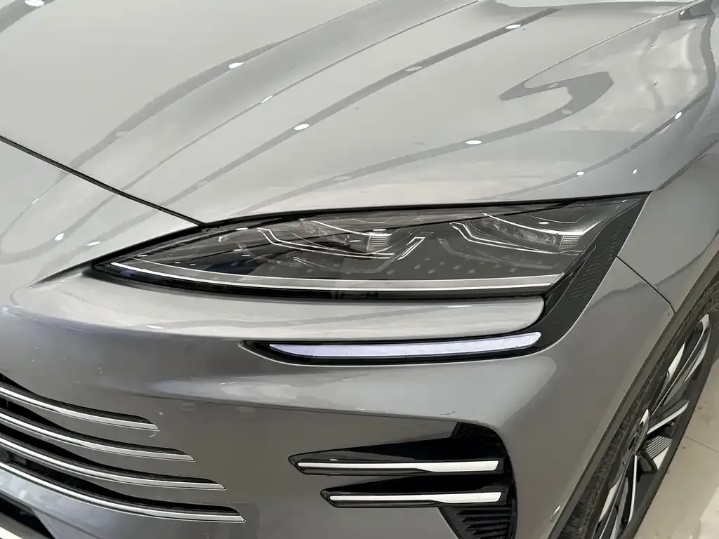 BYD PLUS New Energy — фото 3