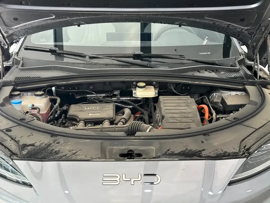 BYD PLUS New Energy — фото 4