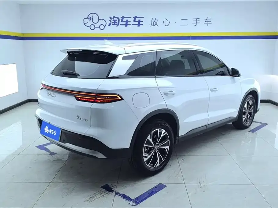 BYD Pro New Energy — фото 6