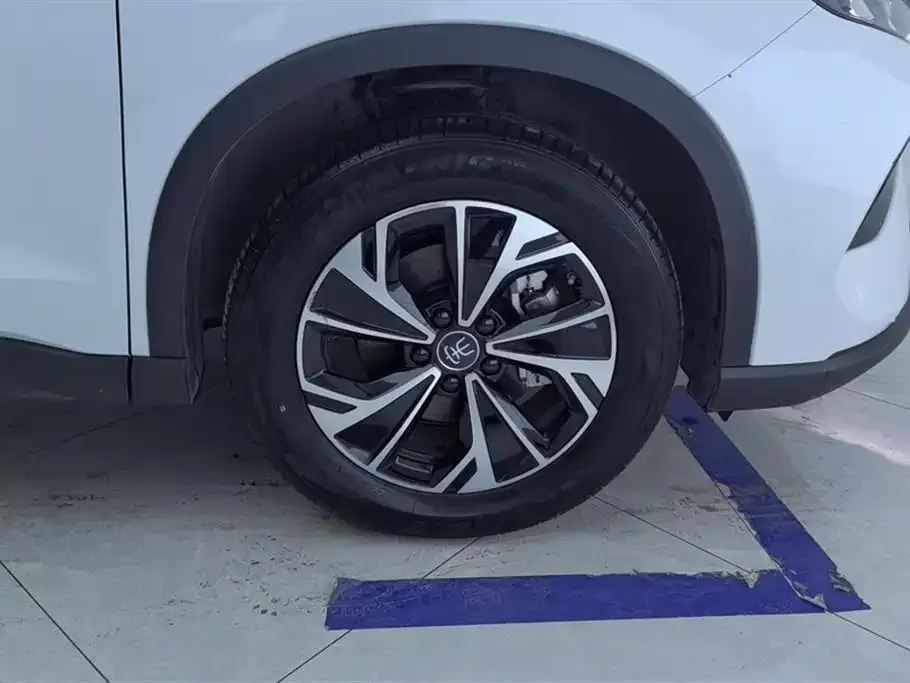 BYD Pro New Energy — фото 2