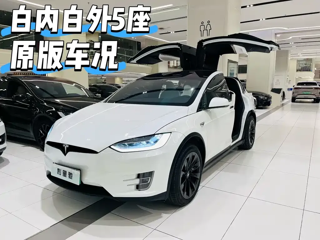 Tesla Model X — фото 1