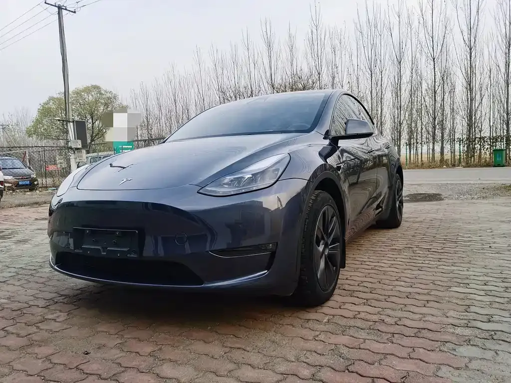 Tesla Model Y — фото 1