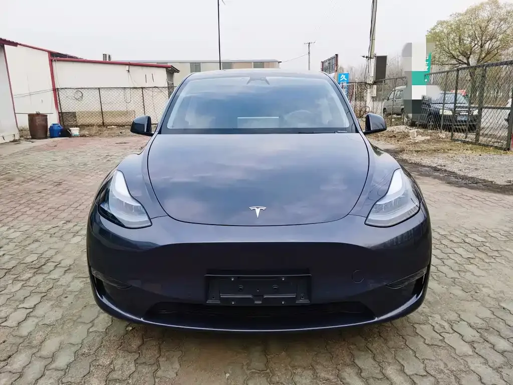 Tesla Model Y — фото 3