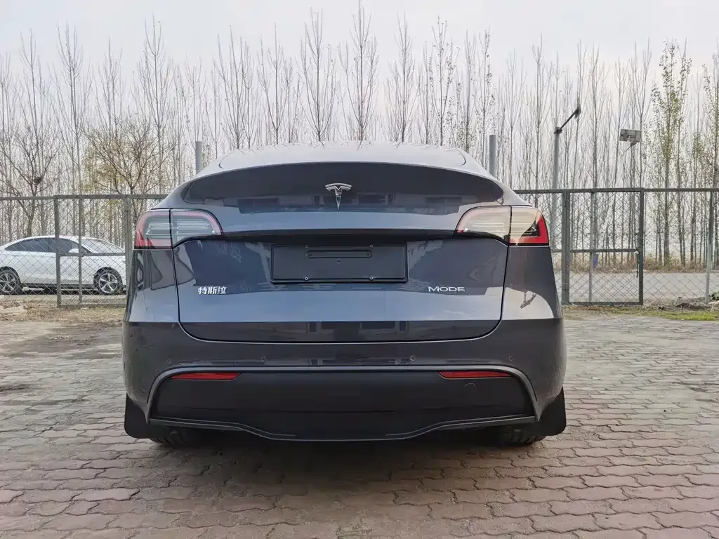 Tesla Model Y — фото 4