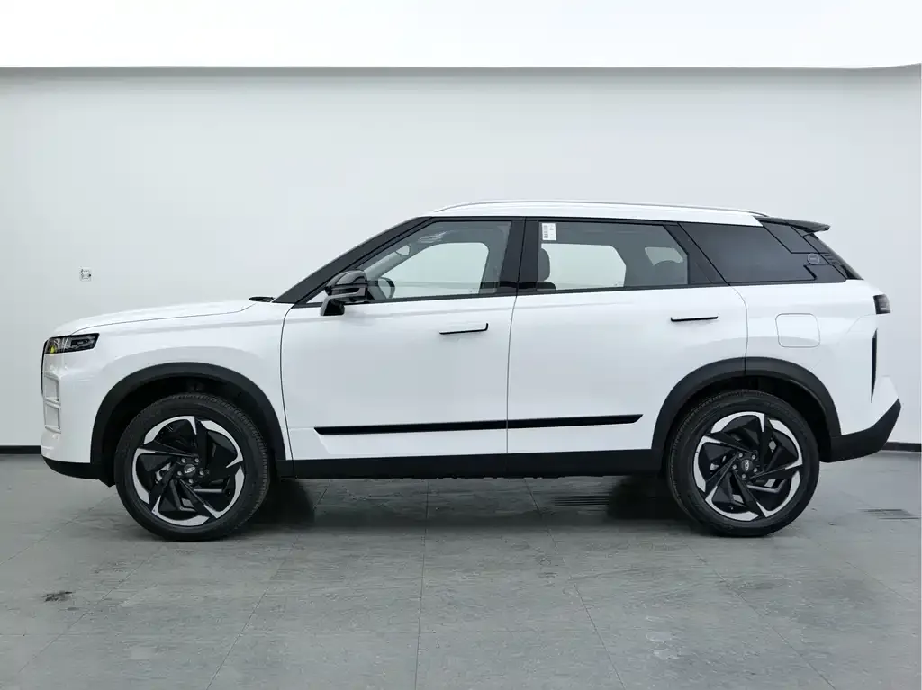 Chery Explorer 06 — фото 5