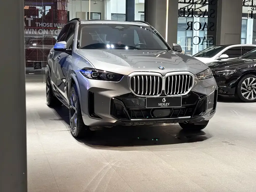 BMW X5 — фото 9
