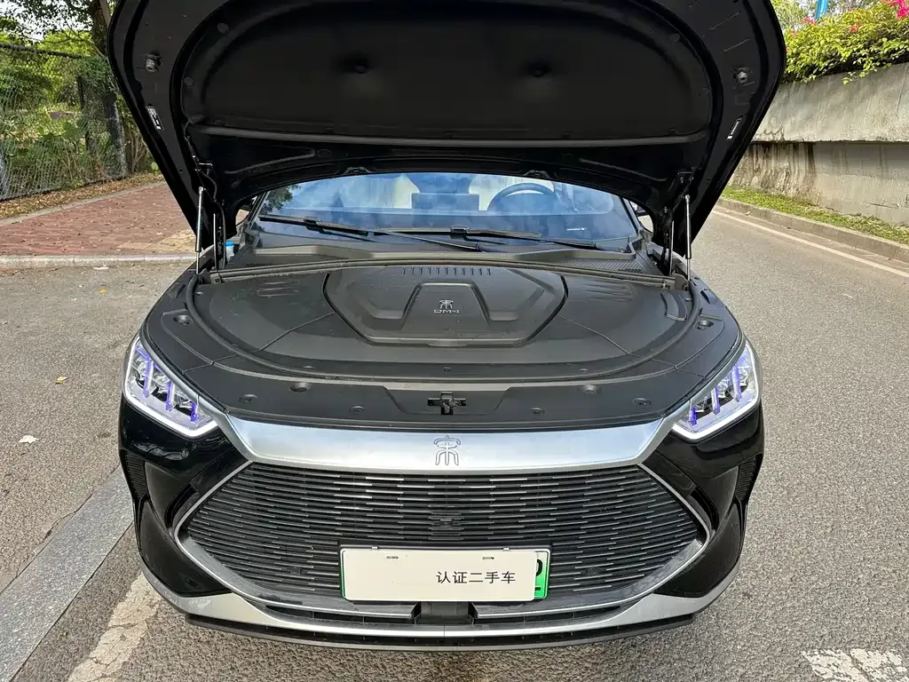 BYD PLUS New Energy — фото 4