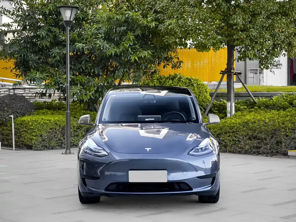 Tesla Model Y — фото 6