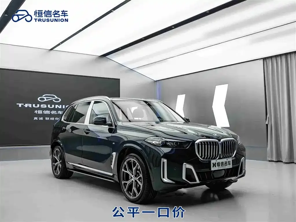BMW X5 — фото 1