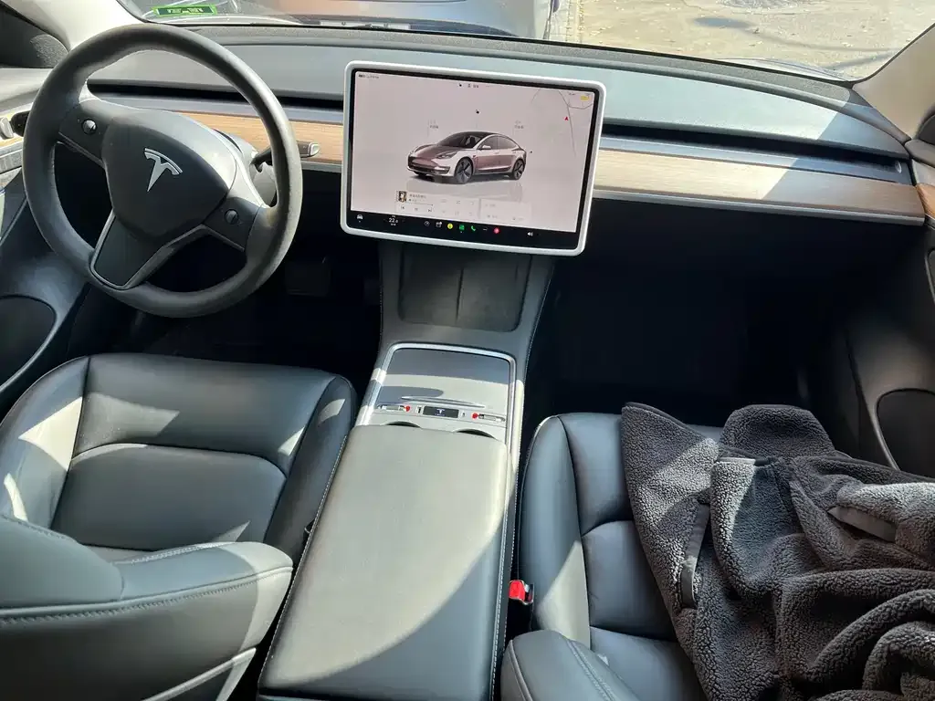 Tesla Model 3 — фото 2