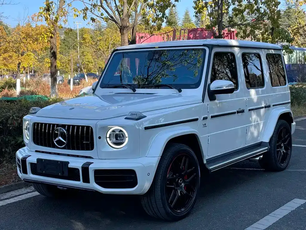 Mercedes-Benz G-Class — фото 1