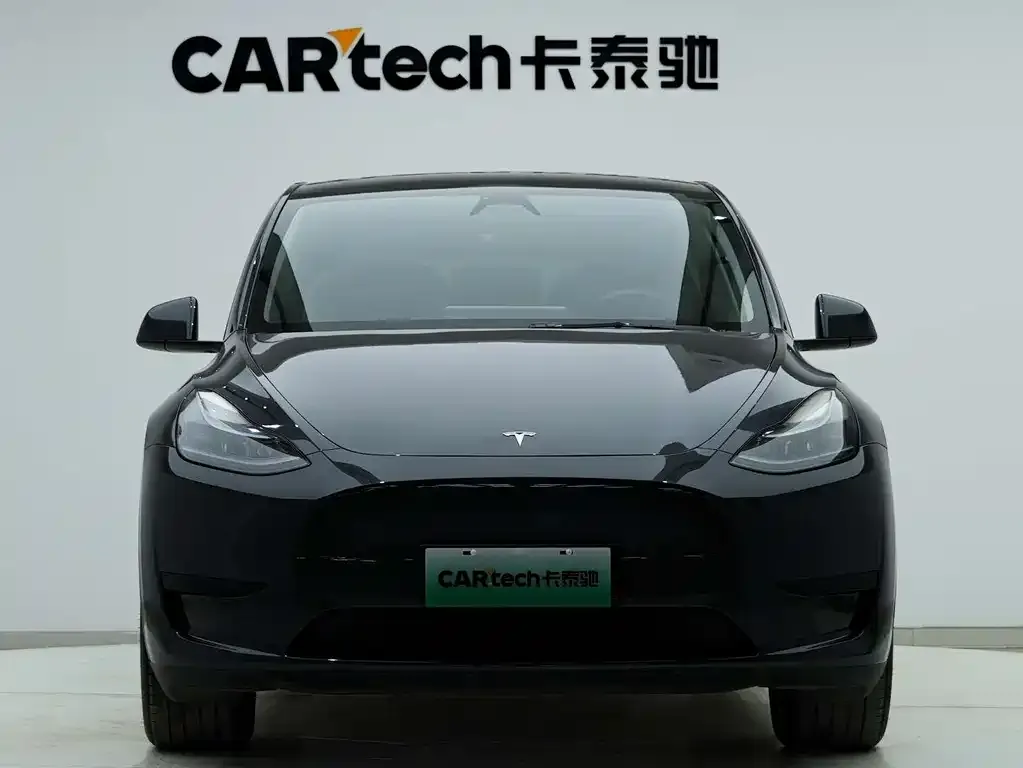 Tesla Model Y — фото 10