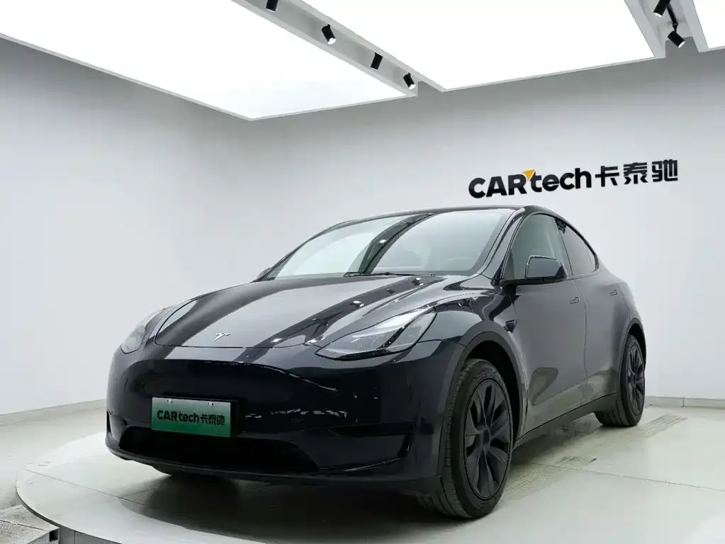 Tesla Model Y — фото 2