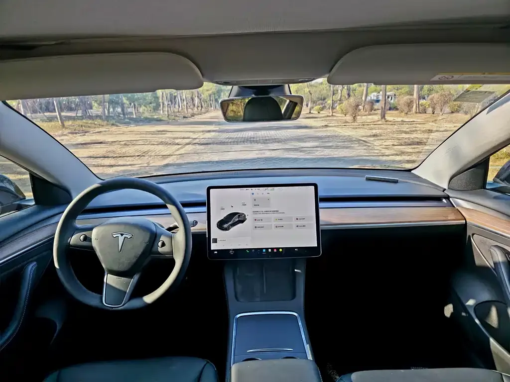 Tesla Model 3 — фото 4