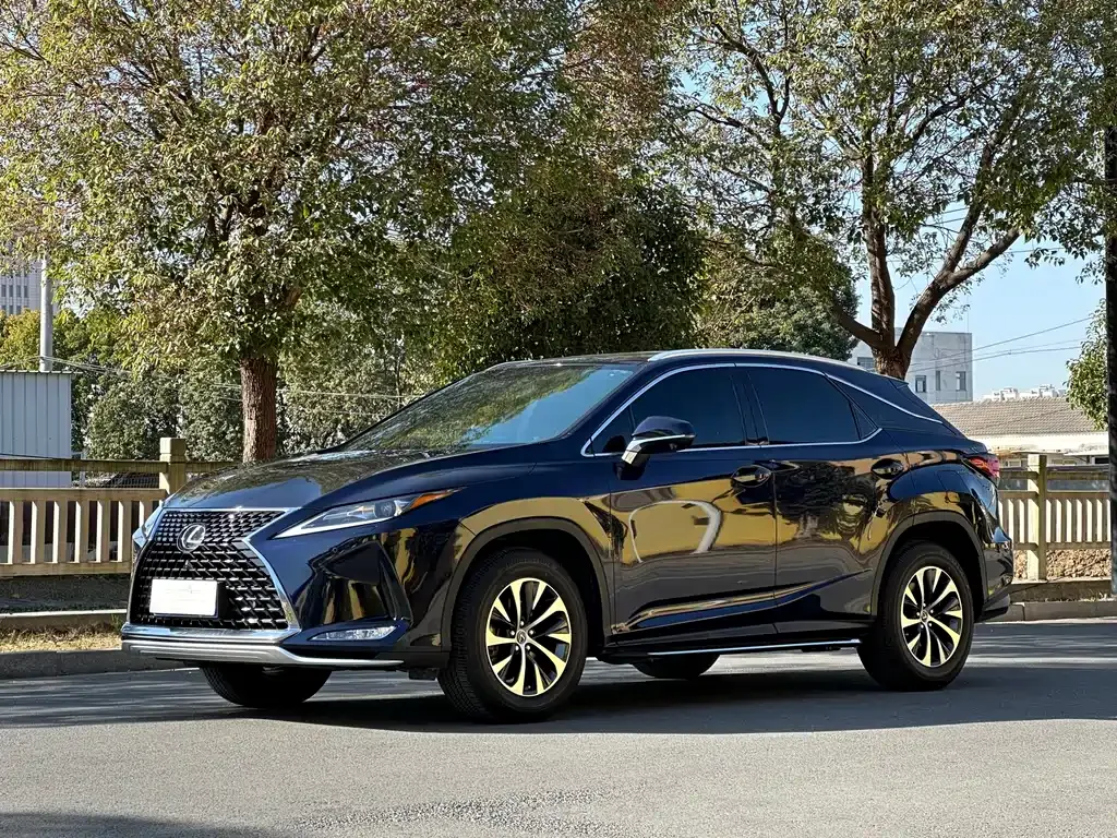 Lexus RX — фото 1