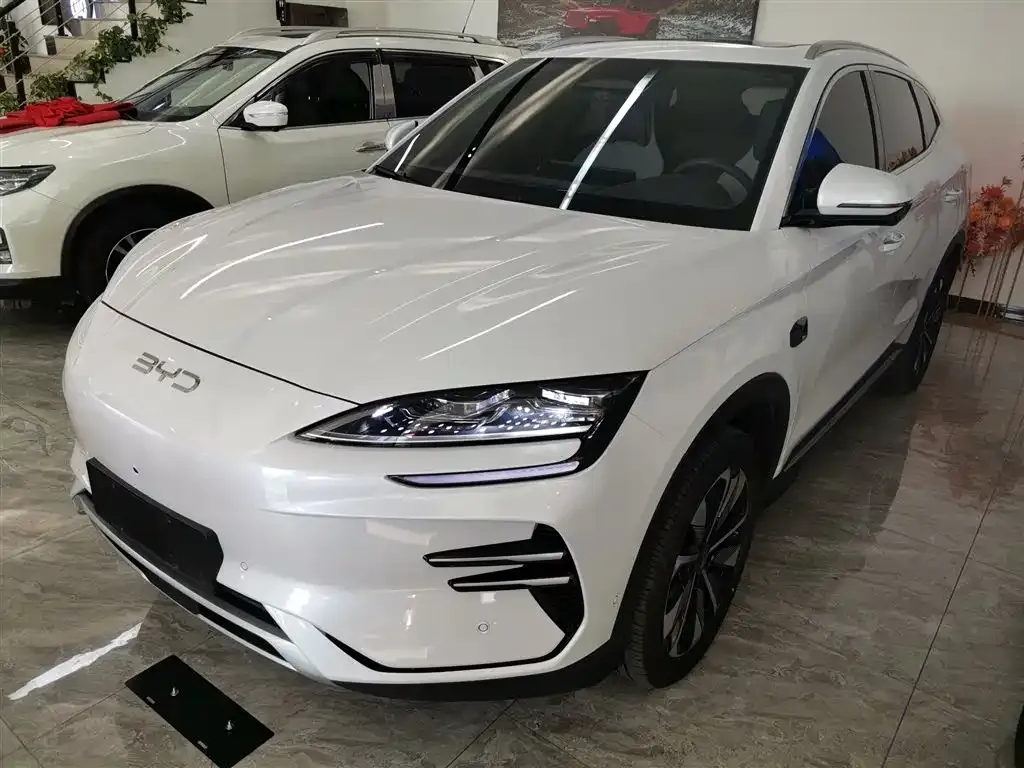 BYD PLUS New Energy — фото 1