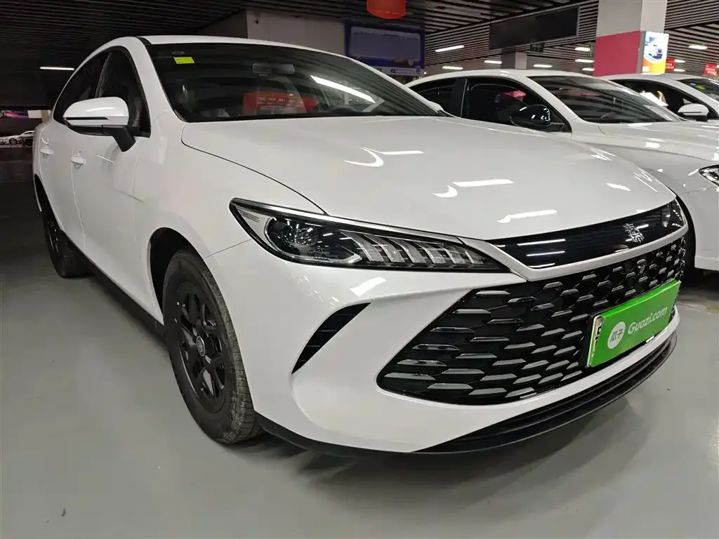 BYD Qin PLUS — фото 9