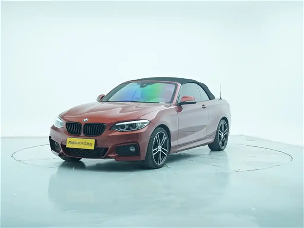 BMW 2 Series (Import) — фото 6