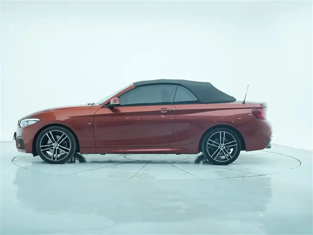 BMW 2 Series (Import) — фото 8