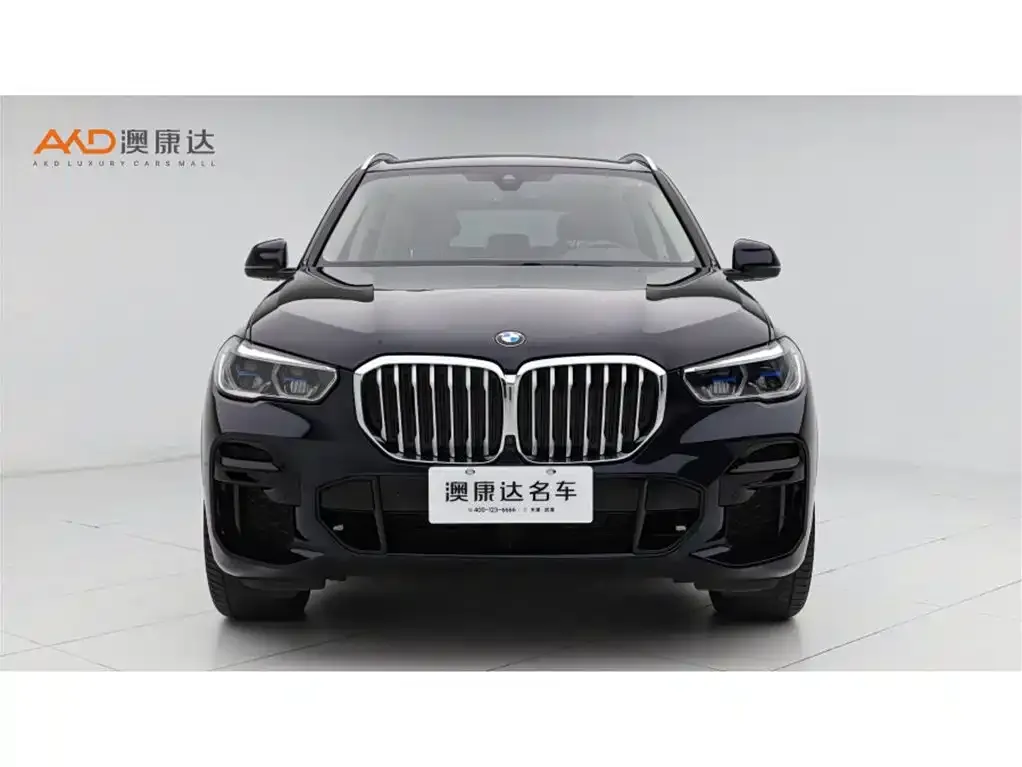 BMW X5 (Import) — фото 3