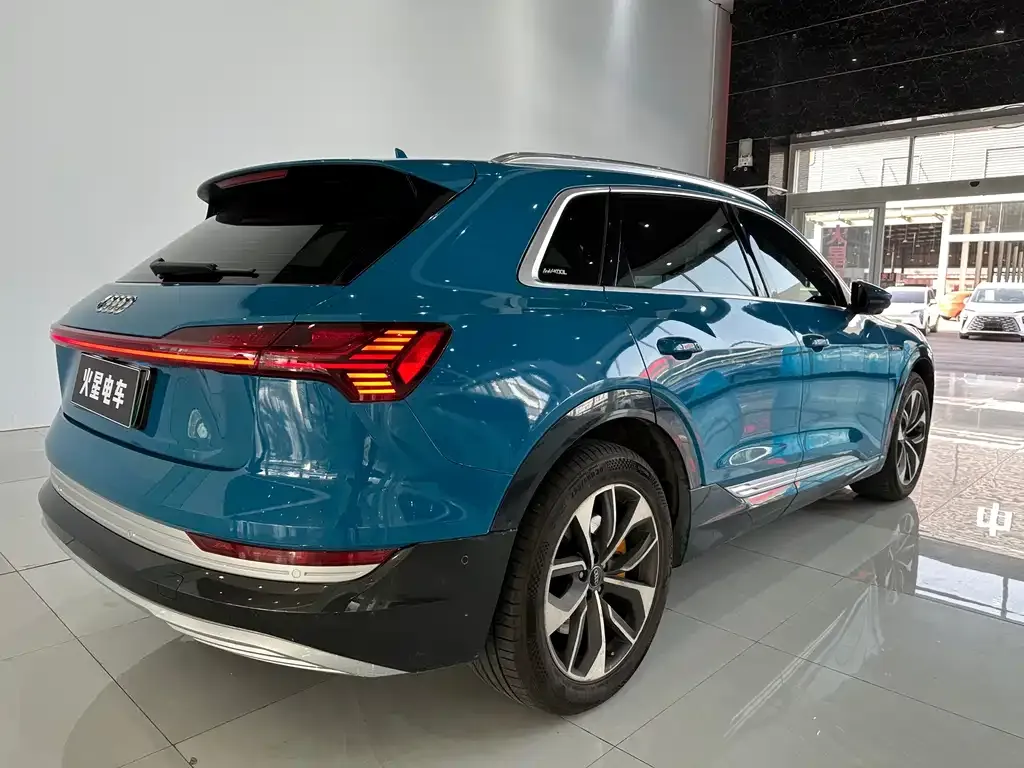 Audi e-tron (Import) — фото 6