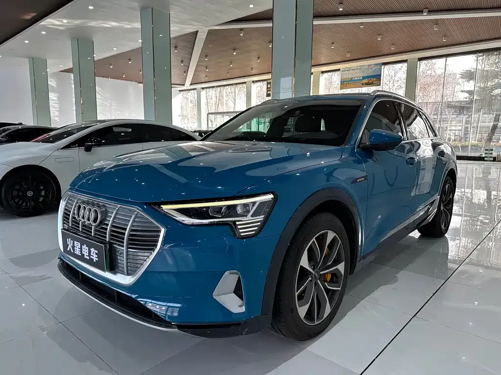 Audi e-tron (Import) — фото 8
