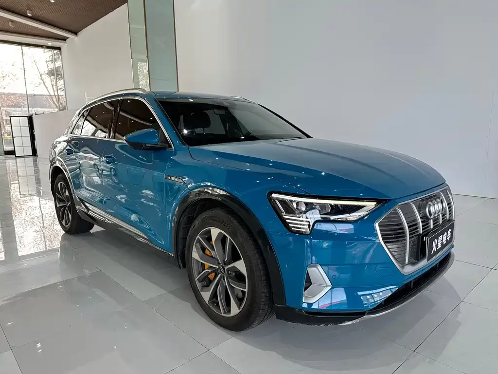 Audi e-tron (Import) — фото 7