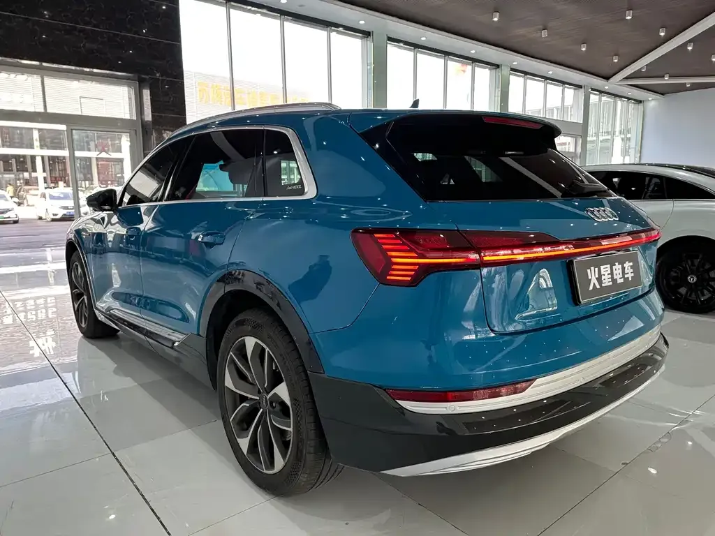 Audi e-tron (Import) — фото 10