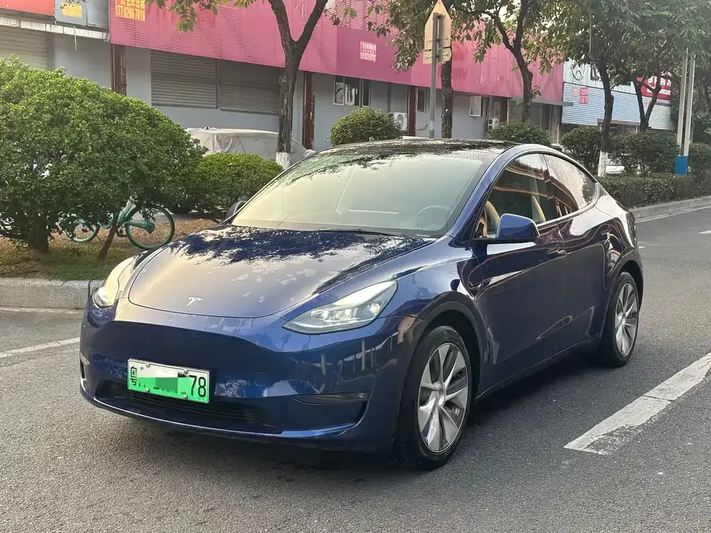 Tesla Model Y — фото 1