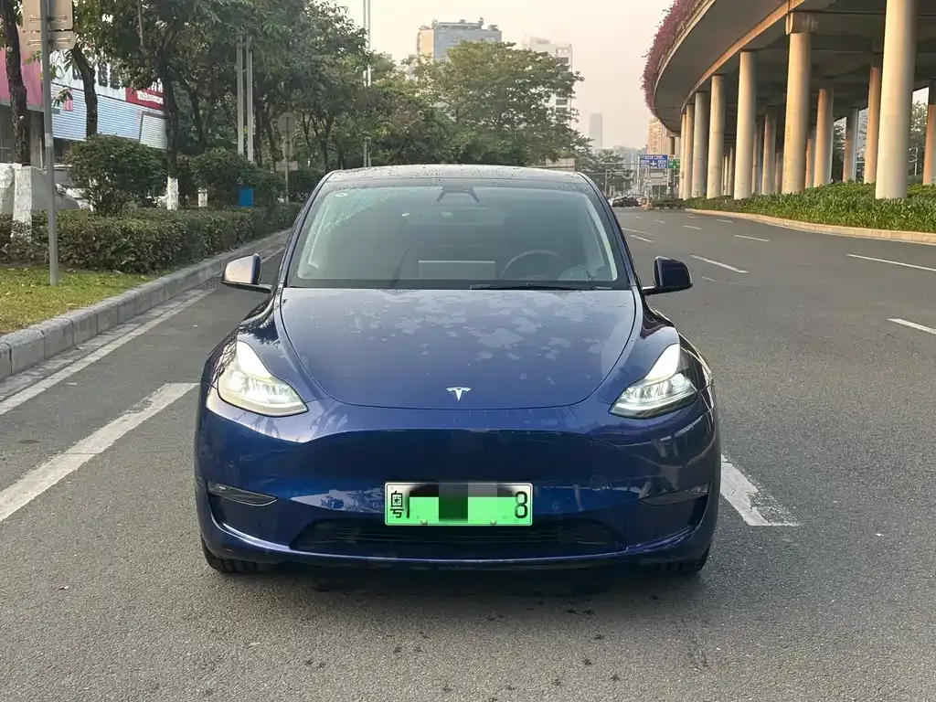 Tesla Model Y — фото 2