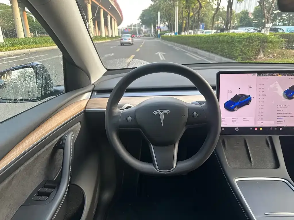 Tesla Model Y — фото 5