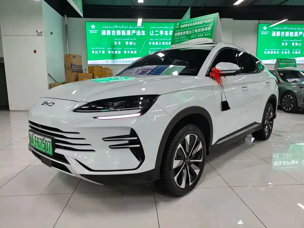 BYD PLUS New Energy — фото 1