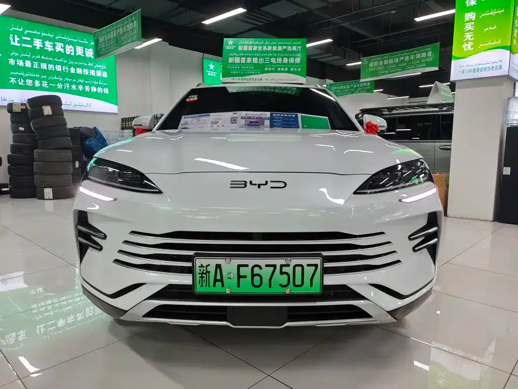 BYD PLUS New Energy — фото 7