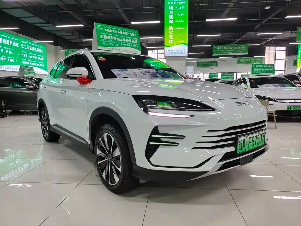 BYD PLUS New Energy — фото 10