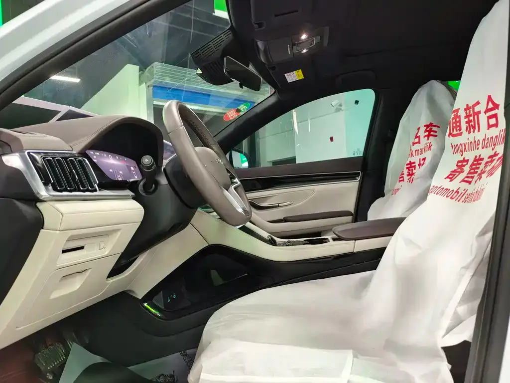 BYD PLUS New Energy — фото 9