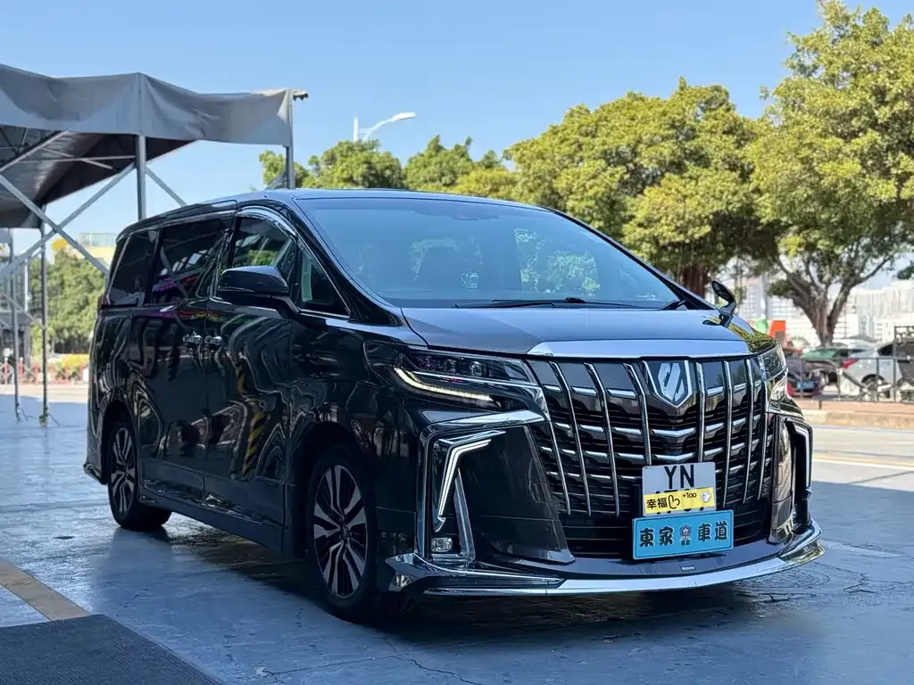Toyota Alphard — фото 3