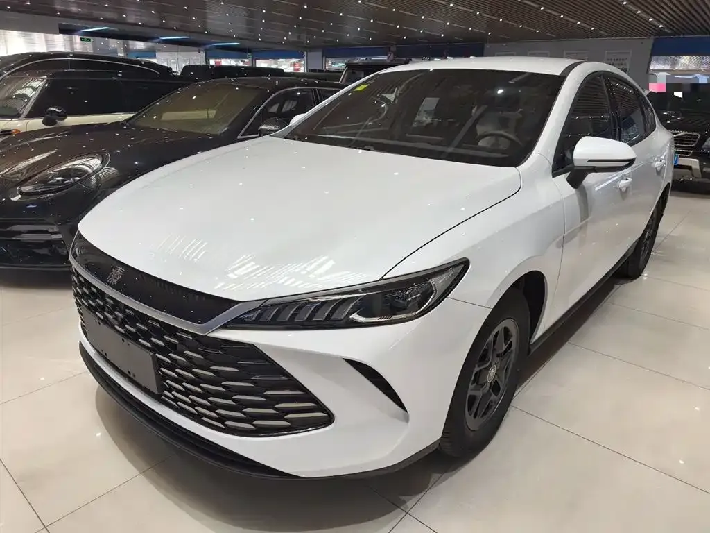 BYD Qin PLUS — фото 1