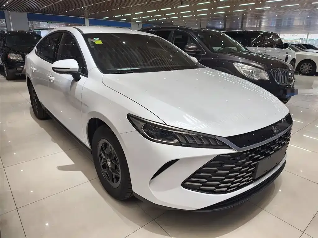 BYD Qin PLUS — фото 4