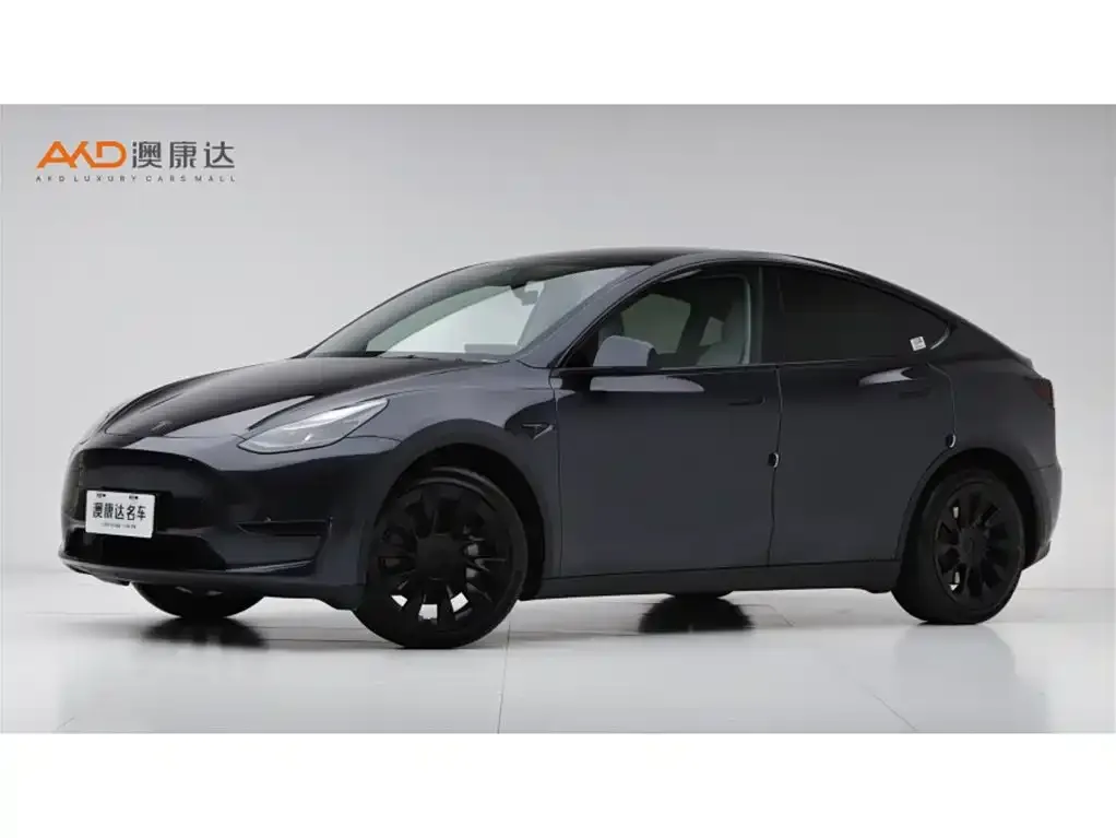 Tesla Model Y — фото 1