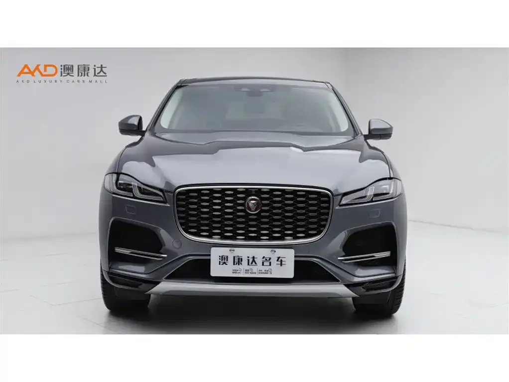 Jaguar F-PACE — фото 10
