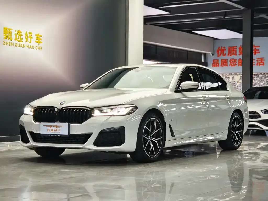 BMW 5 Series (Import) — фото 10