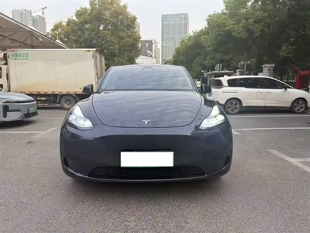 Tesla Model Y — фото 2