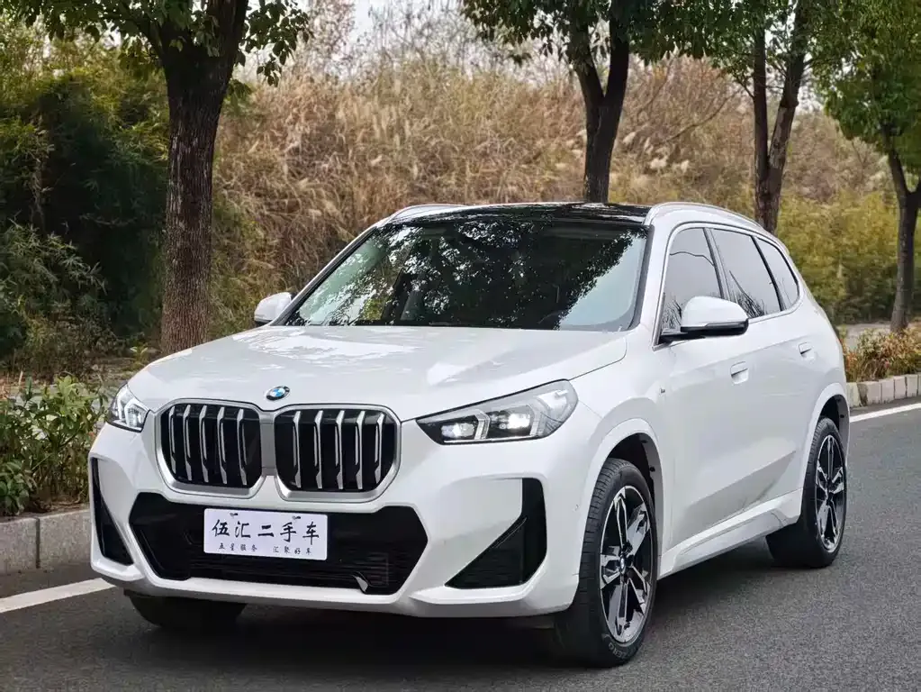 BMW X1 — фото 1