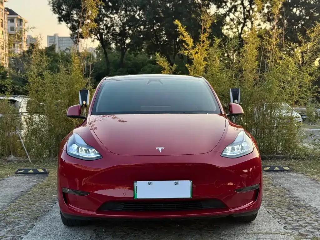 Tesla Model Y — фото 2