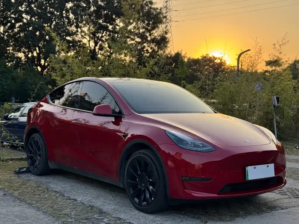 Tesla Model Y — фото 5