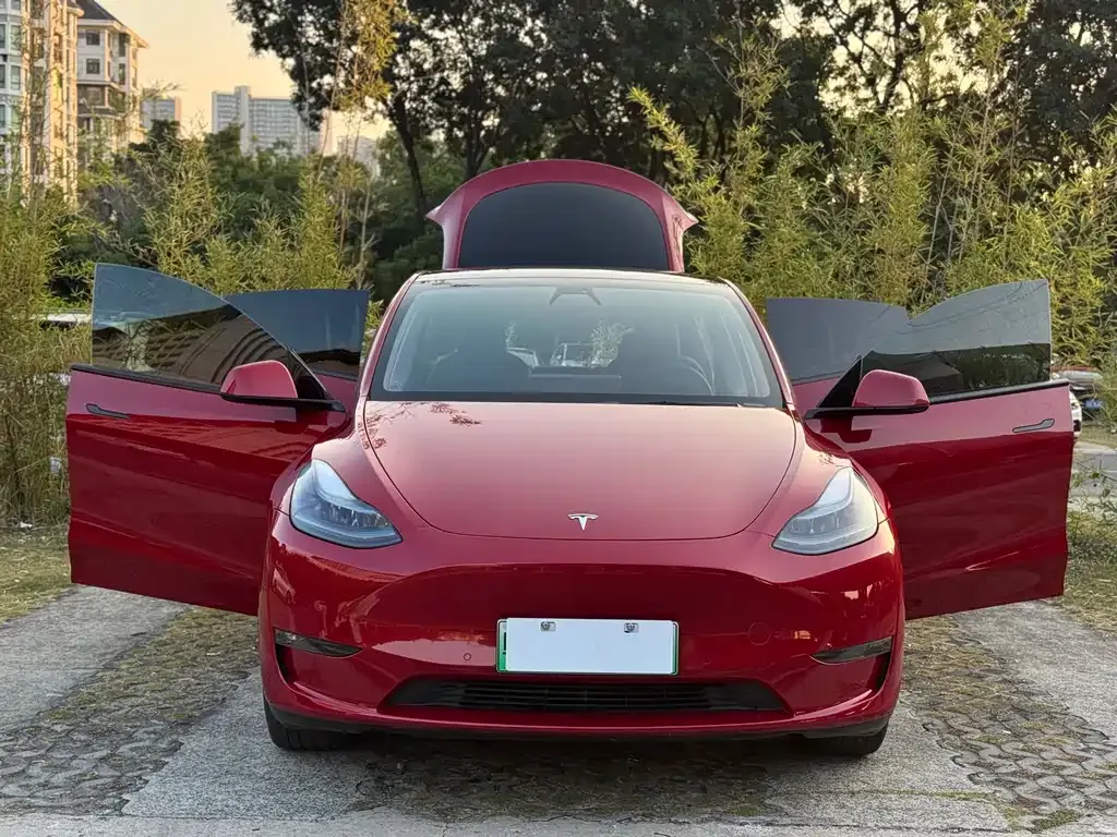 Tesla Model Y — фото 3