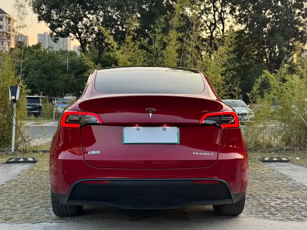 Tesla Model Y — фото 6